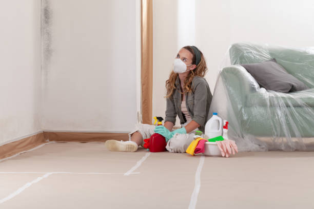 Reliable Crawl Space Mold Removal contractor in Camas, WA by WQB Mold Removal
